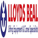 Lloyds Beal Ltd - Professional Services in Caerphilly