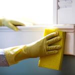 Pro Eol Cleaning - photo 4