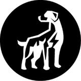 Big Dog Solar - Solar Panel Installation in Chubbuck