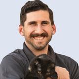 Venetian Pet Hospital - Veterinarians/Vets in Stockton