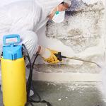 Boasting Mold, Fire, and Water Restoration - photo 2