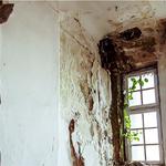 Boasting Mold, Fire, and Water Restoration - photo 5