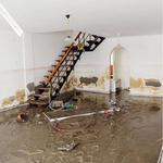 Boasting Mold, Fire, and Water Restoration - photo 7