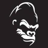 Monsta Media Rouse Hill - Marketing in The Ponds