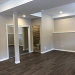 Capital Basement Renovation - photo 2