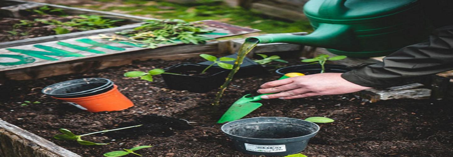 RentaSenior cover photo