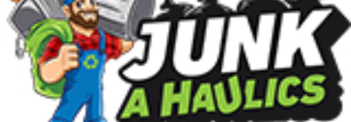 JUNKAHAULICS - Raleigh cover photo