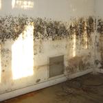 Housing Disrepair Team - photo 2