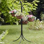 Marco Paul - photo 4