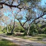 Alexsandra - photo 1