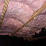 Crawlspace Fitness - photo 3