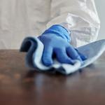 Spotless Cleaning Service - photo 1