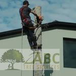 ABC Tree Services - photo 1