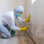 DKJAY Restoration - photo 1