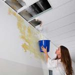 DKJAY Restoration - photo 3