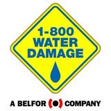 1-800 Water Damage of Athens - Damage Restoration in Athens