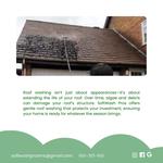 Soft Wash Pros MS - photo 7