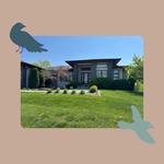 Birdie Window Cleaning - photo 3