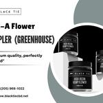 Black Tie Hoover - photo 2