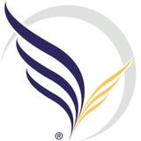 Vein Specialists of the South