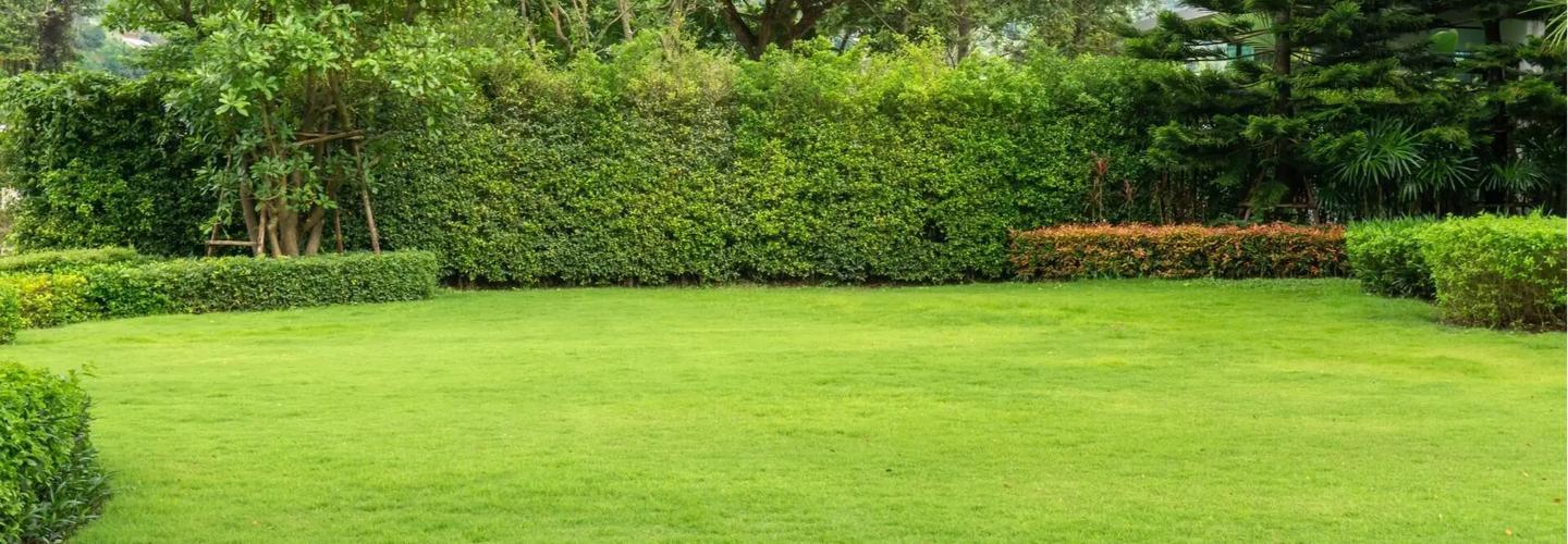 Hills Power Pro cover photo