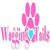 Wagging Tails Pet Resort and Spaw - Newington, CT - Pets in Newington