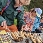 Forage Seattle - photo 4