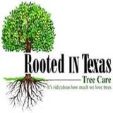 Rooted in Texas Tree Care - Tree Services in Cedar Park