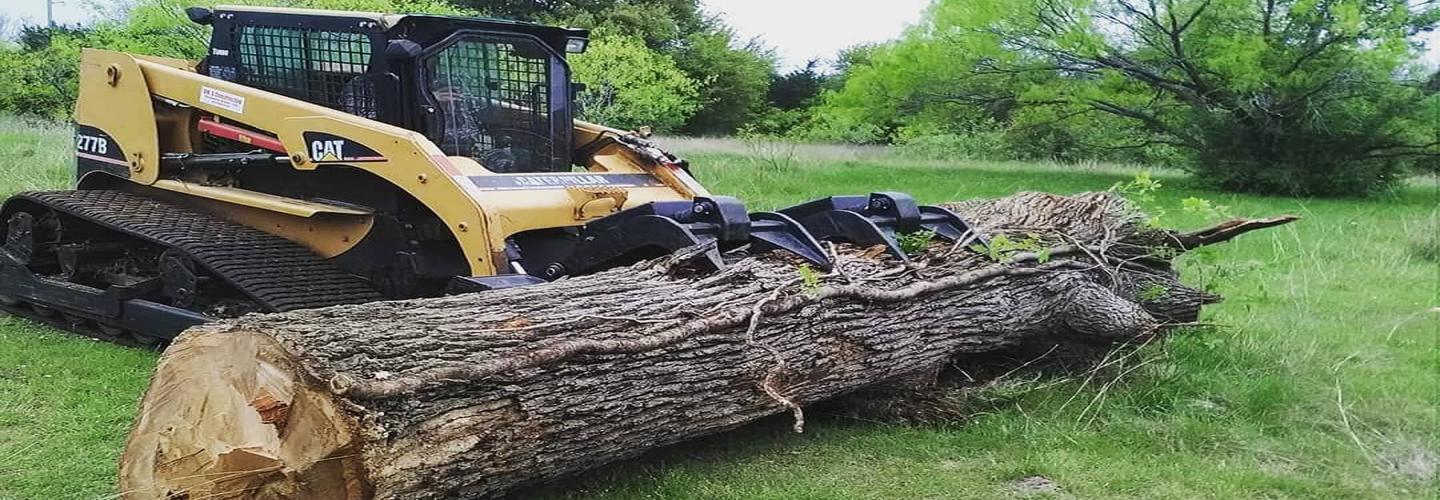 Rooted in Texas Tree Care cover photo