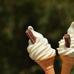 Whippy Kings Ices - photo 5