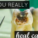 German Dental & Neuromuscular Clinic - photo 1