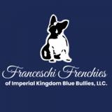 Franceschi Frenchies - Pets in Avondale