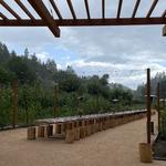 Sabor Mexicano Venue - photo 3