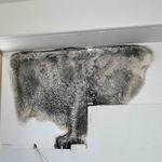 JW Home Care - photo 4