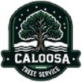 Caloosa Tree Services - Landscaping in LaBelle