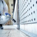 Mold Removal Greenwood   - photo 2