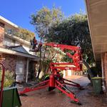 Bob and Ben the Tree Men - photo 1