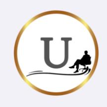 Mesh Chairs - Office Equipment & Supplies