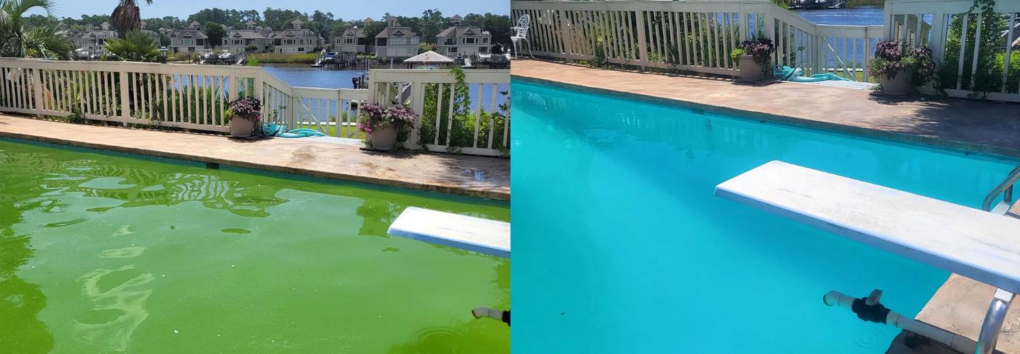 Green Pool Cleaning cover photo