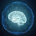 AI Strategy Course - photo 1