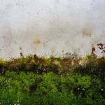 Columbusga Mold Remediation - photo 1