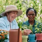 Home Instead  - photo 4