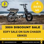 Sun Chaser Ebikes - photo 1