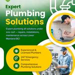 Greenmoose plumbing Ltd - Affordable Plumbing Repair Burnaby - photo 4