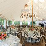 The Greenwich Tent Company - photo 2
