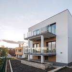 Wheel of Color - photo 4