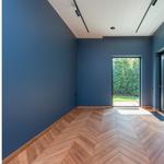 Wheel of Color - photo 7