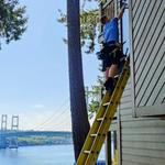 Puyallup Gutter Cleaning - photo 5