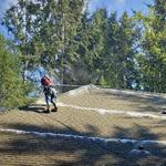 Puyallup Gutter Cleaning - photo 7