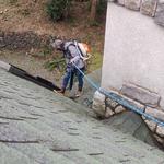 Puyallup Gutter Cleaning - photo 9